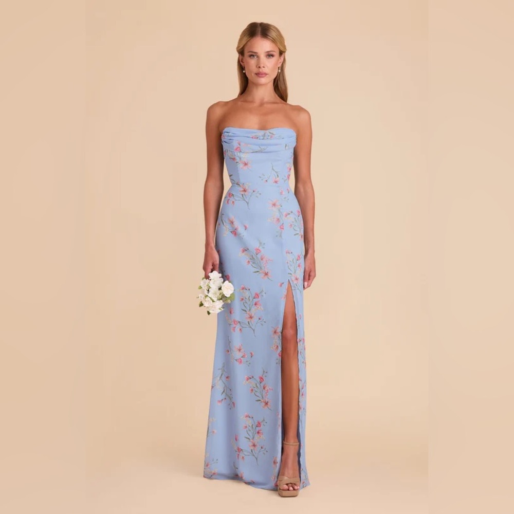 Birdy Grey Floor length Dress in Chiffon Periwinkle Blue Le Fleur